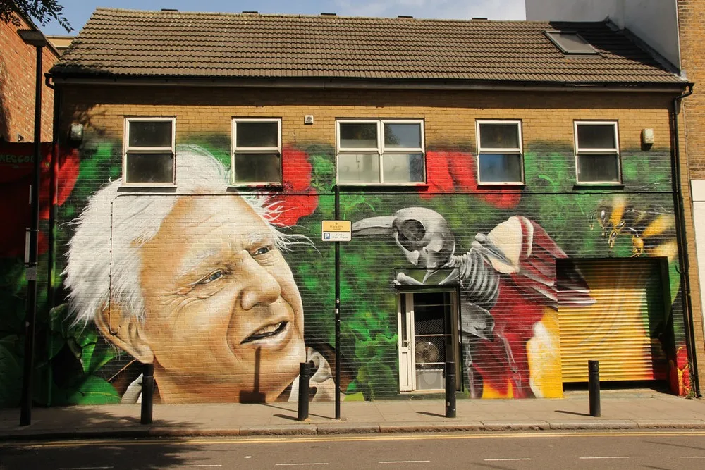 5 life lessons from Sir David Attenborough